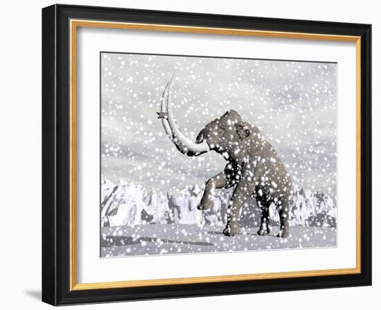 Mammoth Walking Through a Blizzard on Mountain-null-Framed Art Print