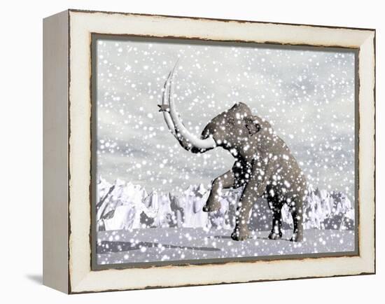 Mammoth Walking Through a Blizzard on Mountain-null-Framed Stretched Canvas