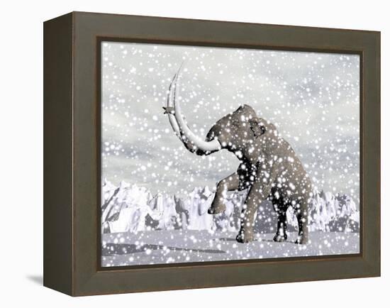 Mammoth Walking Through a Blizzard on Mountain-null-Framed Stretched Canvas