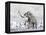 Mammoth Walking Through a Blizzard on Mountain-null-Framed Stretched Canvas