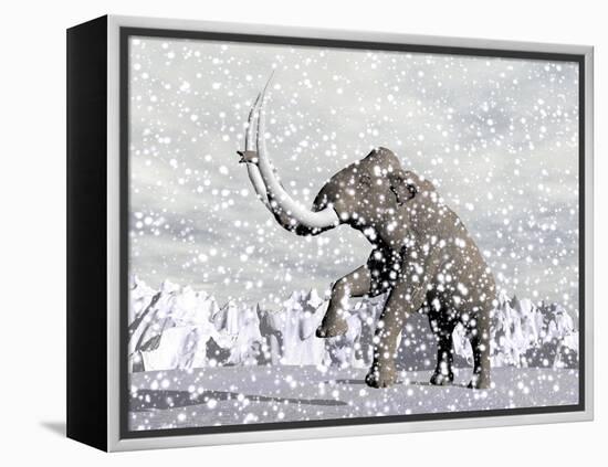 Mammoth Walking Through a Blizzard on Mountain-null-Framed Stretched Canvas