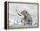 Mammoth Walking Through a Blizzard on Mountain-null-Framed Stretched Canvas