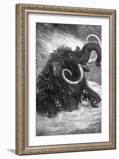 Mammoth-null-Framed Giclee Print