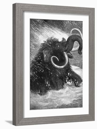 Mammoth-null-Framed Giclee Print