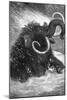 Mammoth-null-Mounted Giclee Print