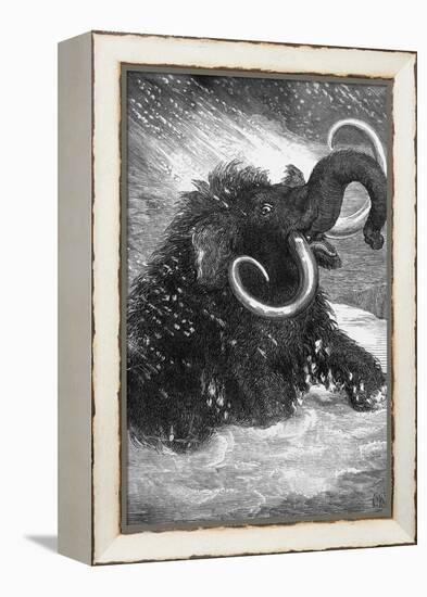 Mammoth-null-Framed Premier Image Canvas