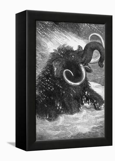 Mammoth-null-Framed Premier Image Canvas