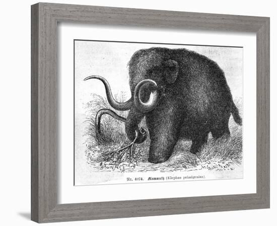 Mammoth-null-Framed Giclee Print