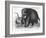 Mammoth-null-Framed Giclee Print