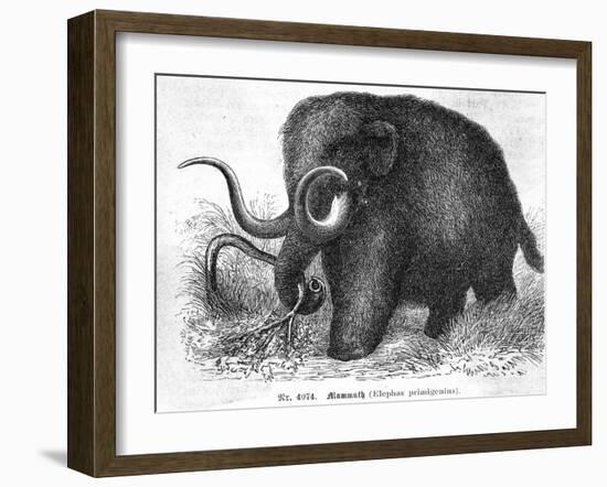 Mammoth-null-Framed Giclee Print