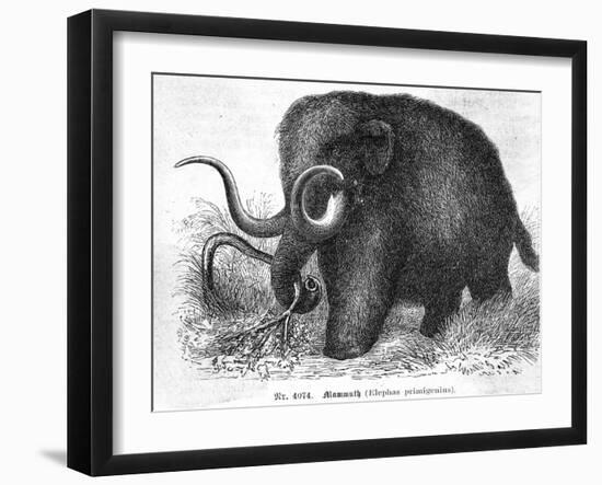 Mammoth-null-Framed Giclee Print