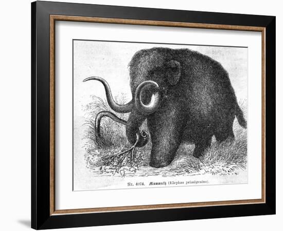 Mammoth-null-Framed Giclee Print