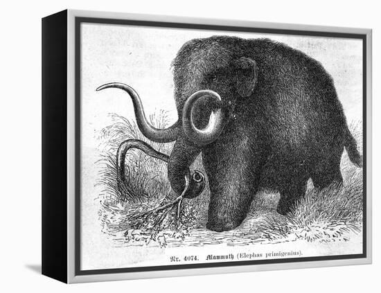 Mammoth-null-Framed Premier Image Canvas