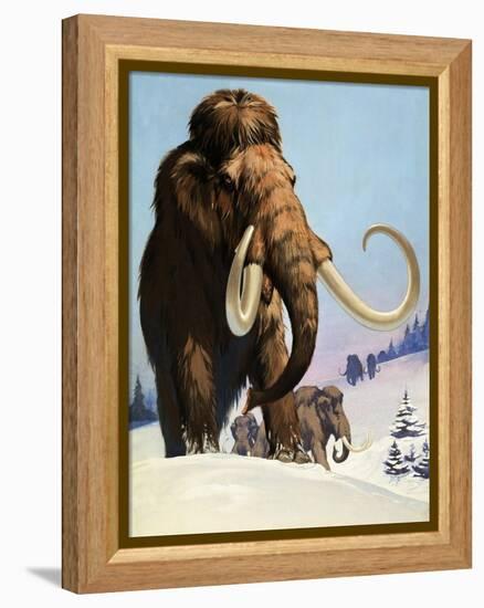 Mammoths from the Ice Age, 1969-Mcbride-Framed Premier Image Canvas