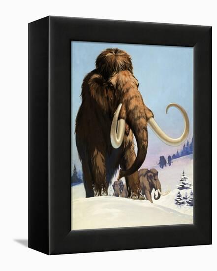 Mammoths from the Ice Age, 1969-Mcbride-Framed Premier Image Canvas