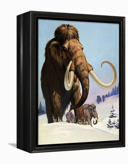 Mammoths from the Ice Age, 1969-Mcbride-Framed Premier Image Canvas