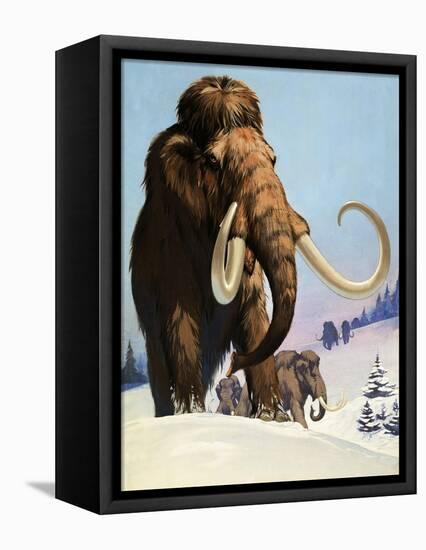 Mammoths from the Ice Age, 1969-Mcbride-Framed Premier Image Canvas