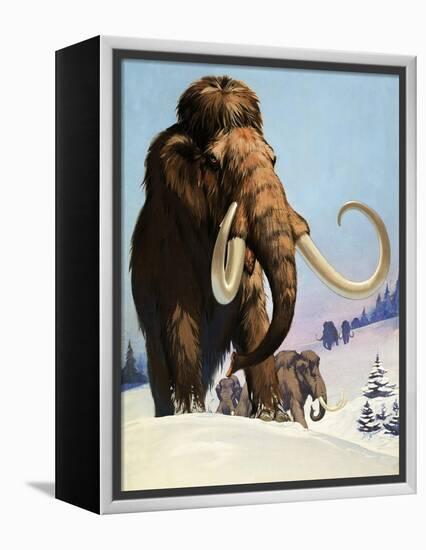 Mammoths from the Ice Age, 1969-Mcbride-Framed Premier Image Canvas