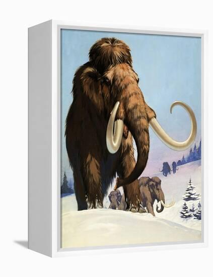 Mammoths from the Ice Age, 1969-Mcbride-Framed Premier Image Canvas