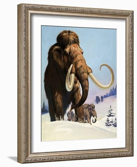 Mammoths from the Ice Age, 1969-Mcbride-Framed Giclee Print