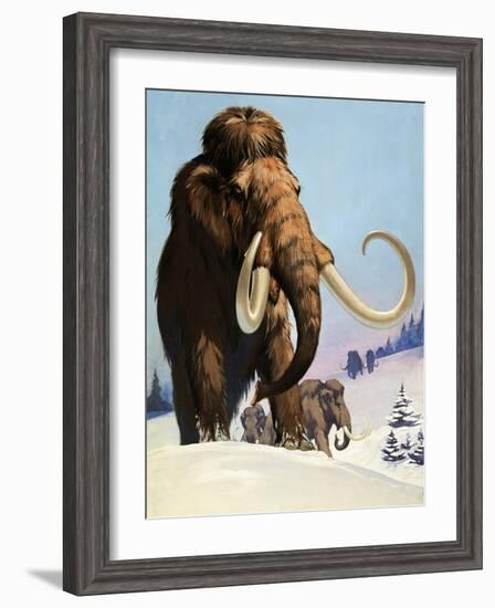 Mammoths from the Ice Age, 1969-Mcbride-Framed Giclee Print