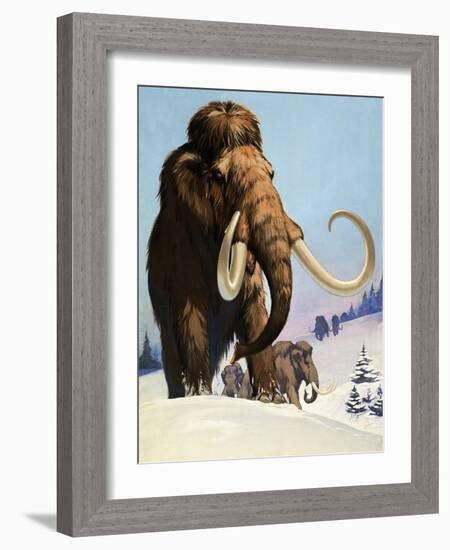 Mammoths from the Ice Age, 1969-Mcbride-Framed Giclee Print