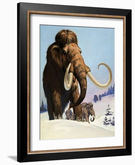 Mammoths from the Ice Age, 1969-Mcbride-Framed Giclee Print