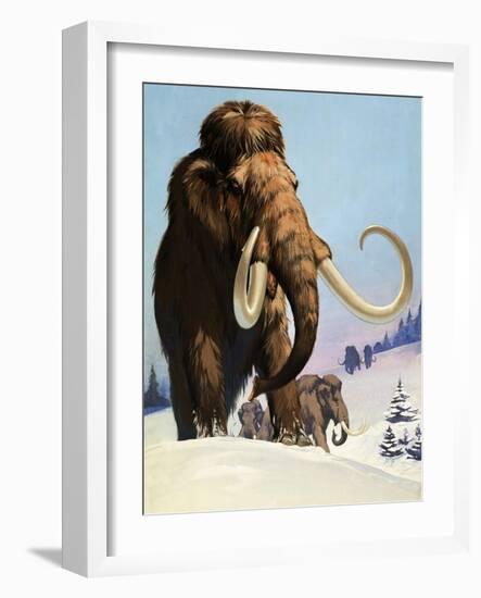 Mammoths from the Ice Age, 1969-Mcbride-Framed Giclee Print