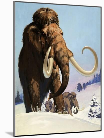 Mammoths from the Ice Age, 1969-Mcbride-Mounted Giclee Print