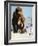 Mammoths from the Ice Age, 1969-Mcbride-Framed Giclee Print