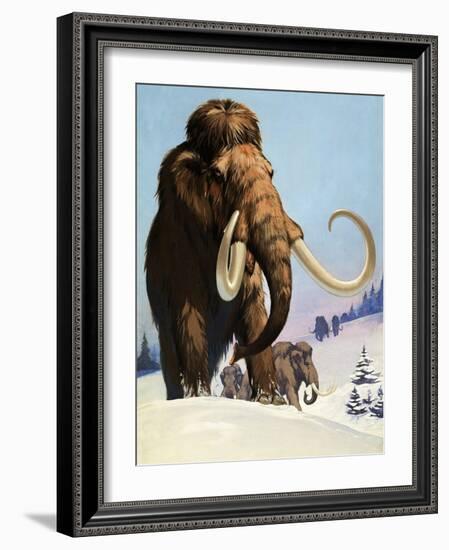 Mammoths from the Ice Age, 1969-Mcbride-Framed Giclee Print