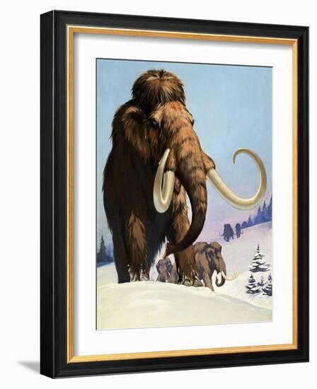 Mammoths from the Ice Age, 1969-Mcbride-Framed Giclee Print