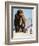 Mammoths from the Ice Age, 1969-Mcbride-Framed Giclee Print