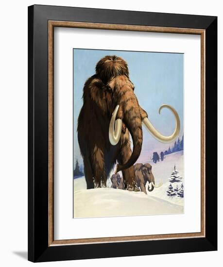 Mammoths from the Ice Age, 1969-Mcbride-Framed Giclee Print