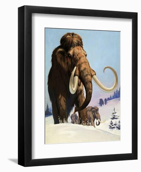 Mammoths from the Ice Age, 1969-Mcbride-Framed Giclee Print