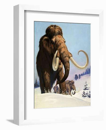 Mammoths from the Ice Age, 1969-Mcbride-Framed Giclee Print