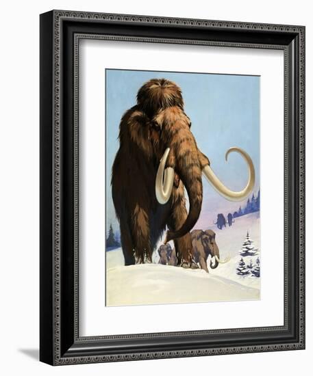 Mammoths from the Ice Age, 1969-Mcbride-Framed Giclee Print