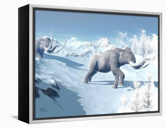 Mammoths Walking Slowly on the Snowy Mountain Against the Wind-null-Framed Stretched Canvas