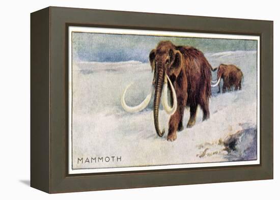 Mammothus Primigenius-null-Framed Stretched Canvas