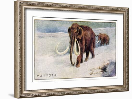 Mammothus Primigenius-null-Framed Art Print