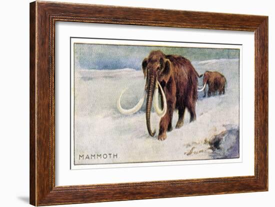 Mammothus Primigenius-null-Framed Art Print