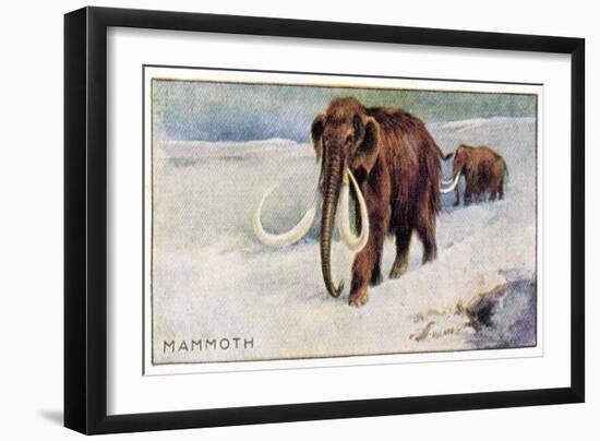 Mammothus Primigenius-null-Framed Art Print