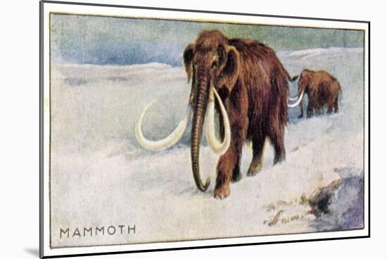 Mammothus Primigenius-null-Mounted Art Print