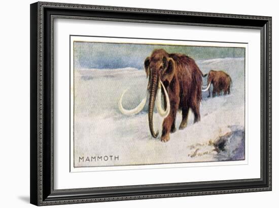 Mammothus Primigenius-null-Framed Art Print