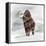 Mammuthus Primigenius Walking Through a Blizzard-Stocktrek Images-Framed Stretched Canvas