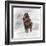 Mammuthus Primigenius Walking Through a Blizzard-Stocktrek Images-Framed Art Print