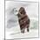 Mammuthus Primigenius Walking Through a Blizzard-Stocktrek Images-Mounted Art Print