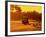 Man and Golf Cart Silhouetted at Sunset-Bill Bachmann-Framed Photographic Print