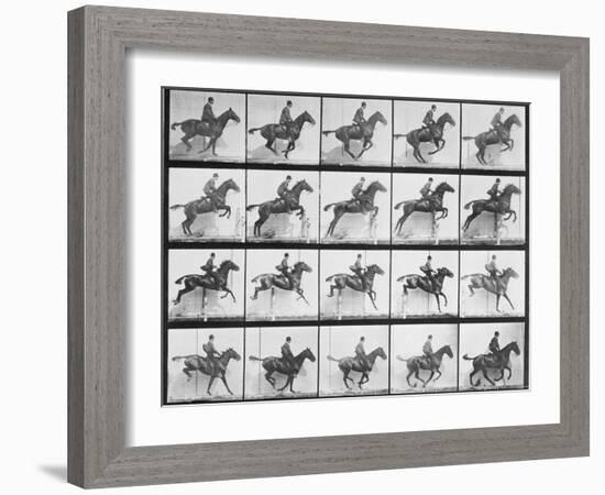 Man and Horse Jumping a Fence, Plate 640 from Animal Locomotion, 1887-Eadweard Muybridge-Framed Giclee Print