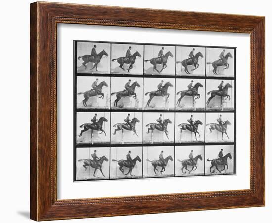 Man and Horse Jumping a Fence, Plate 640 from Animal Locomotion, 1887-Eadweard Muybridge-Framed Giclee Print